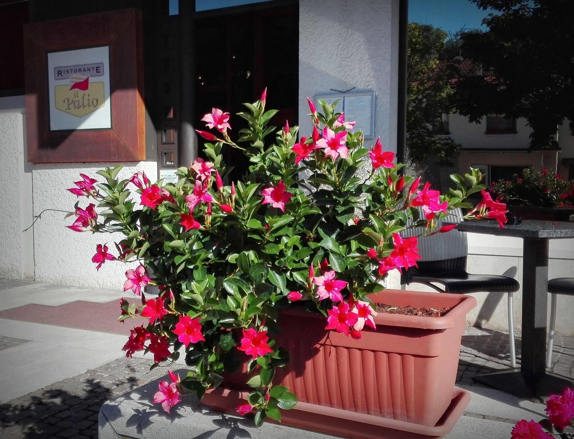 Hotel Casagrande Feltre Exterior foto